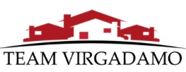 team-virgadmo-logo